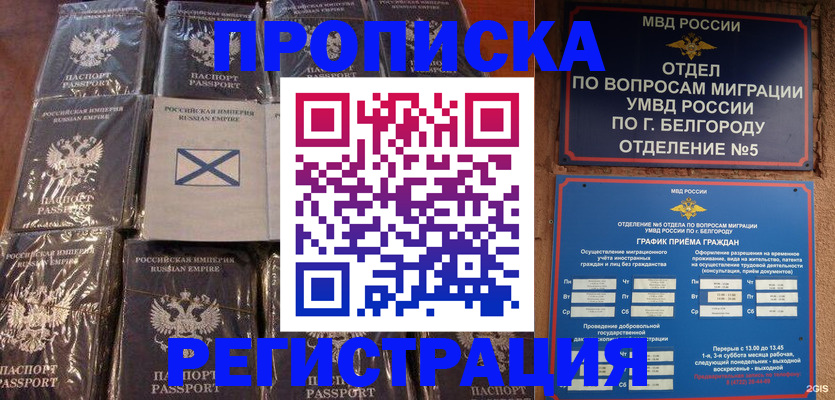прописка гарантия в Отрадном